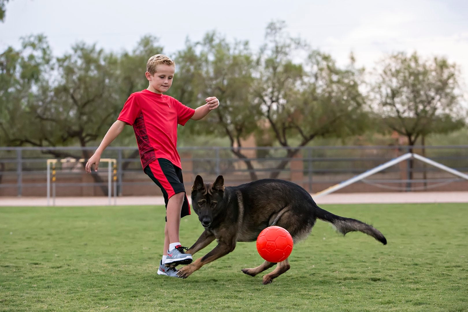 Jolly Soccer Ball