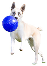 Jolly Soccer Ball