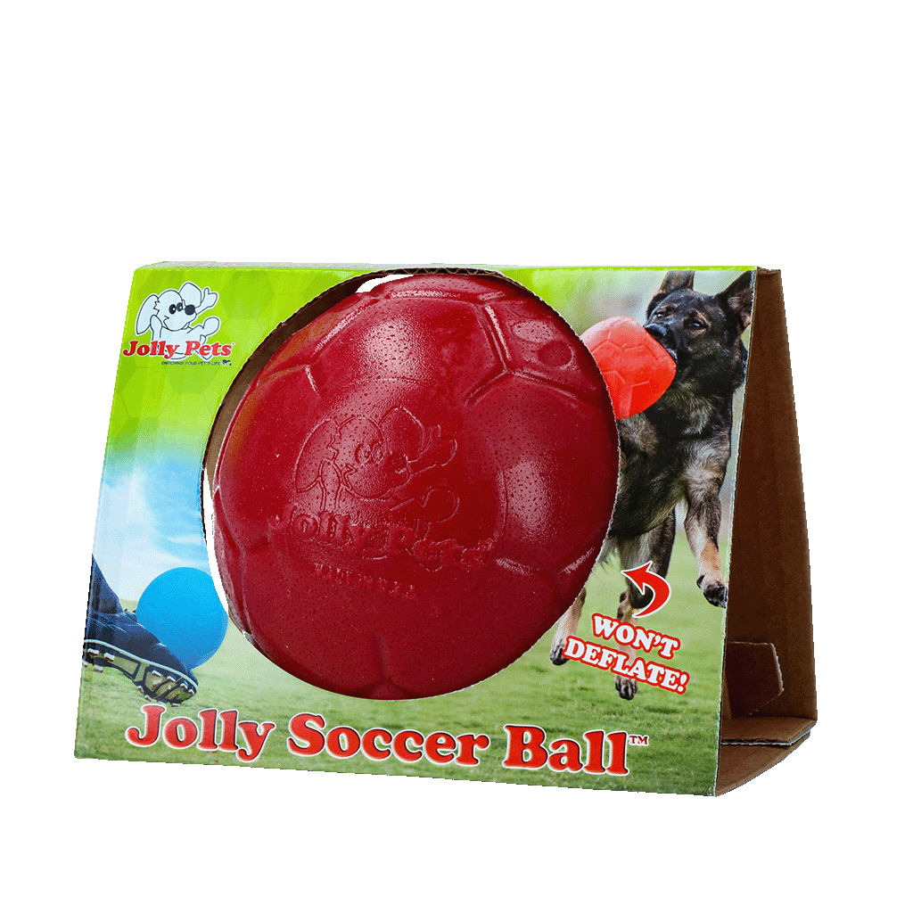 Jolly Soccer Ball Red S (15 cm) dog toy