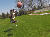 Jolly Tug-n-Toss