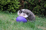 Jolly Egg Purple S (20 cm) gallery image 4