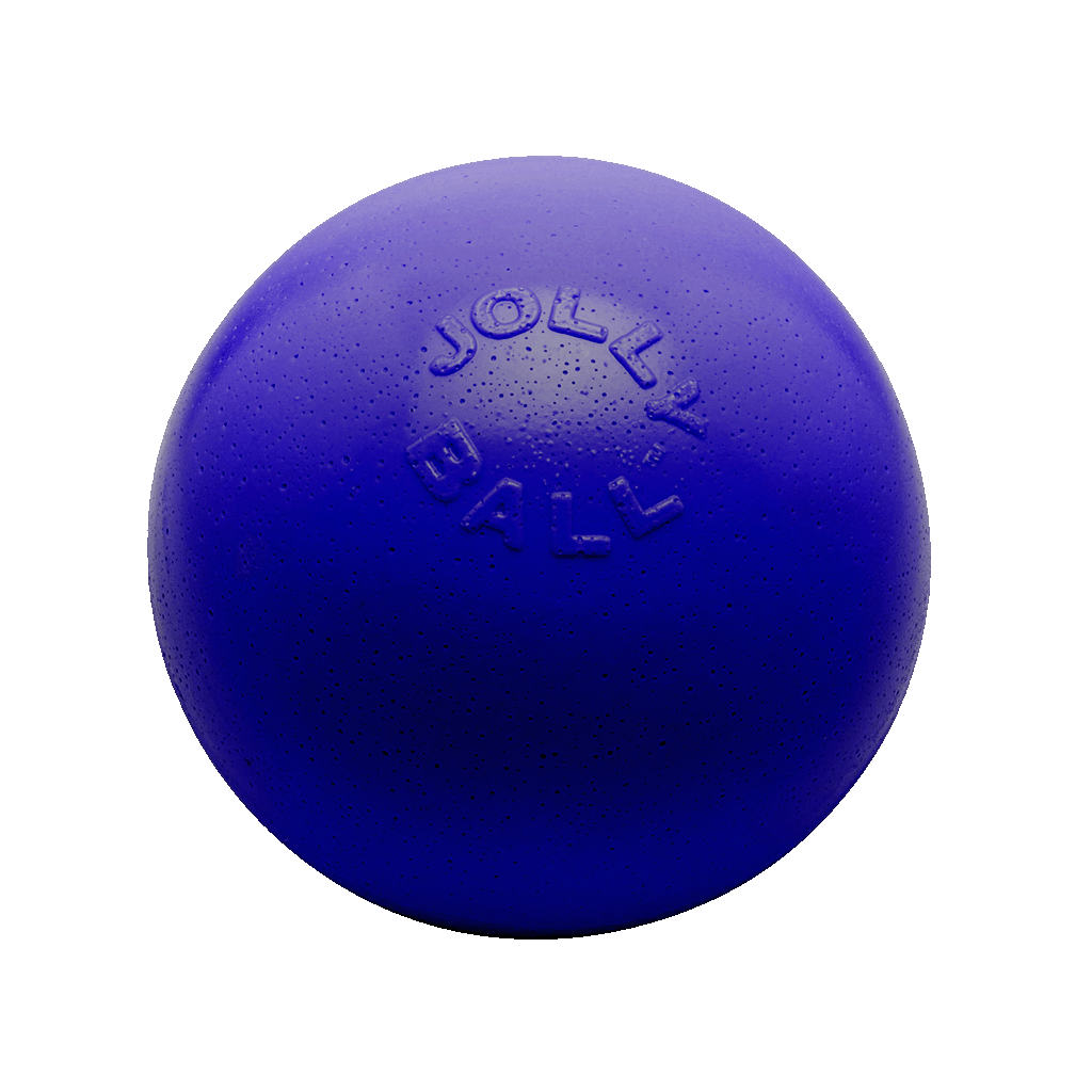 Jolly Bounce-n-Play - Blue