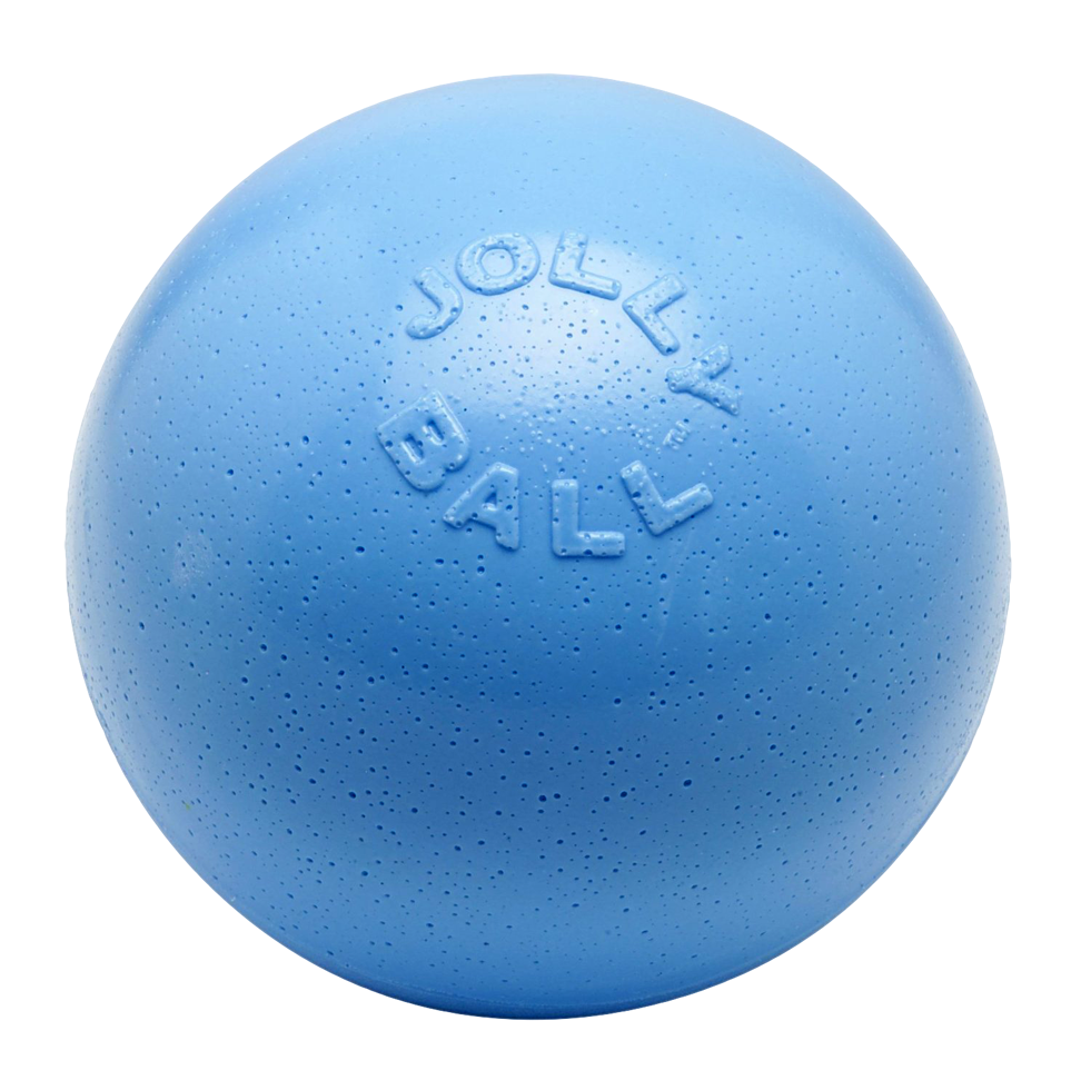 Jolly Bounce-n-Play - Blueberry