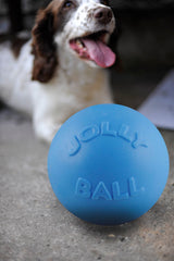 Jolly Bounce-n Play Blueberry L (20 cm) product photo