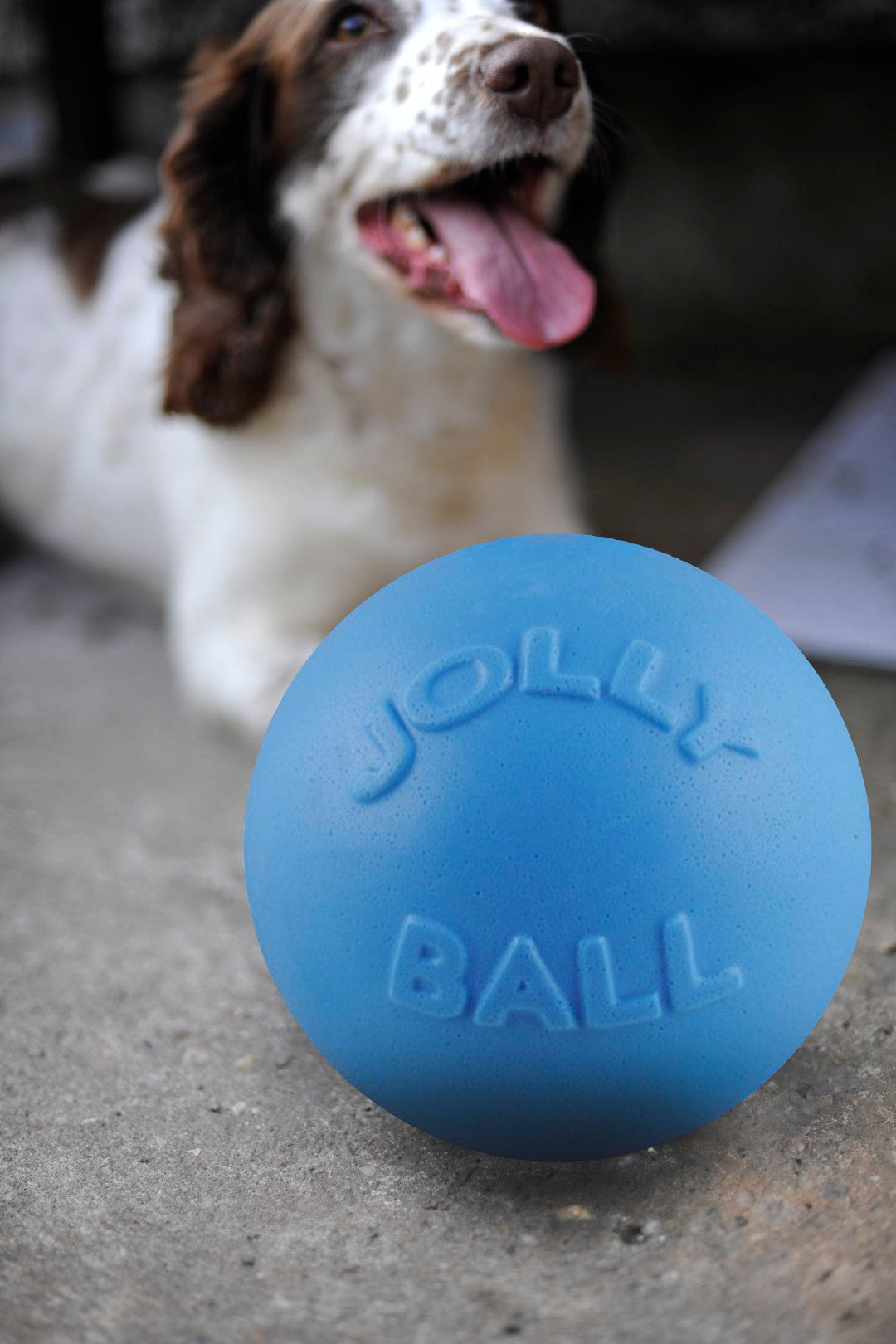 Jolly Bounce-n Play Blueberry L (20 cm) product photo