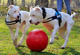 Jolly Push-n-Play Red XL (35 cm) gallery image 4