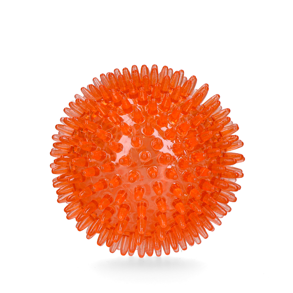 Oranje WK Egelbal M - dog toy