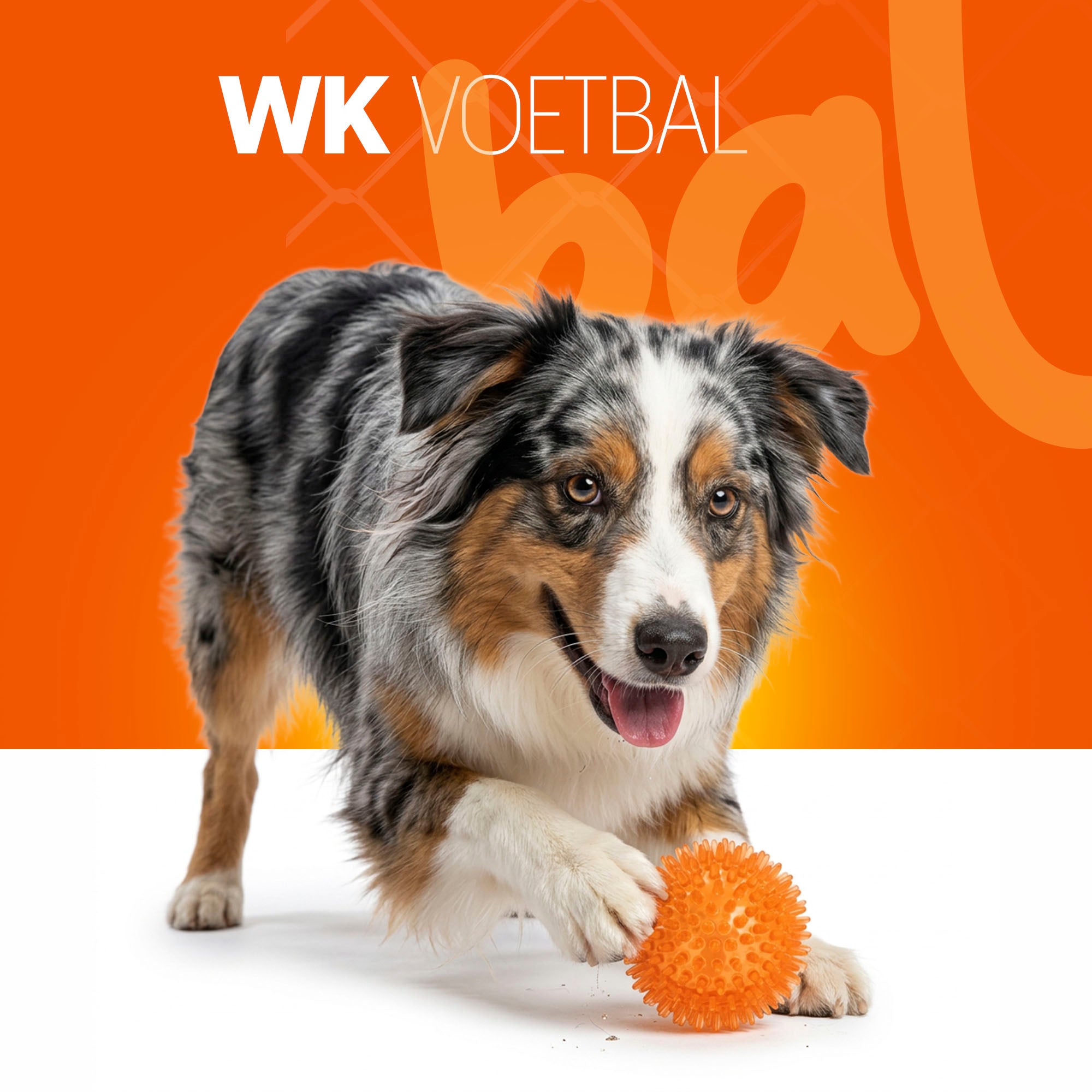 Oranje WK Egelbal M gallery image 2