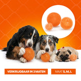 Oranje WK Egelbal M gallery image 6