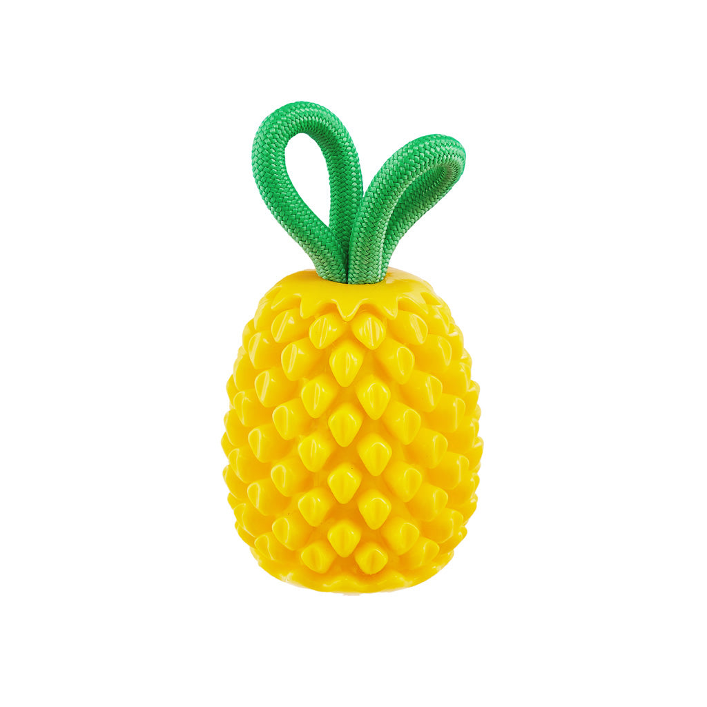 Outward Hound Dental Pineapple detail 2