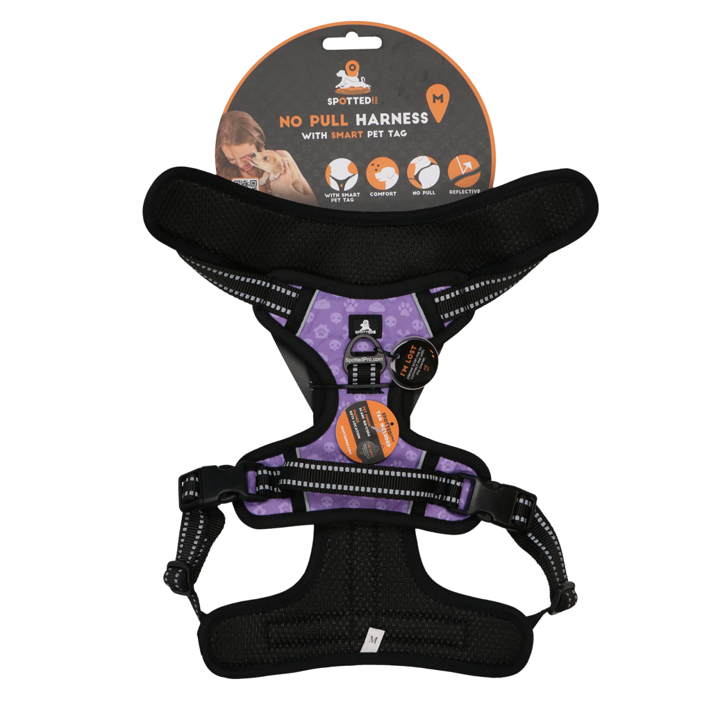 Spotted! Pro No Pull Harnas Purple - dog harness