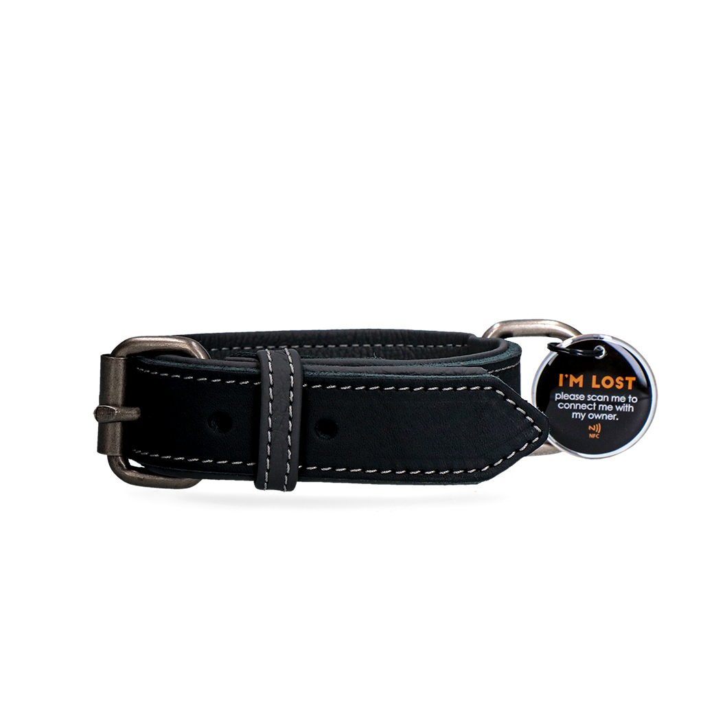 Spotted! Pro Leather Collar Black 3 x - black leather dog collar