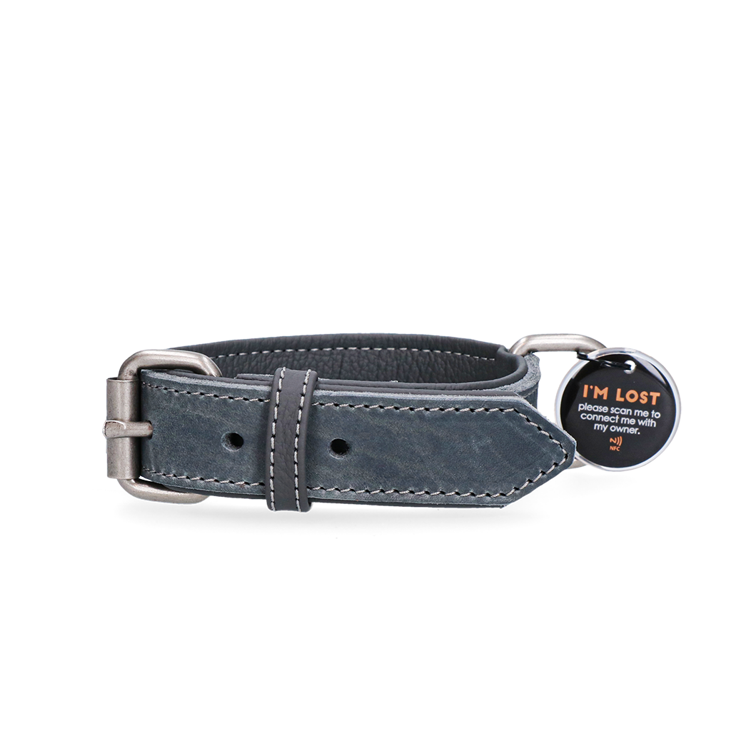 Spotted! Pro Leather Collar Grey 2.5 x - dog collar