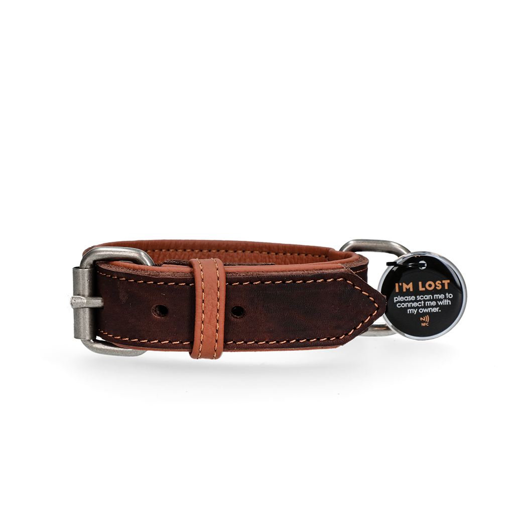 Spotted! Pro Leather Collar Brown 3 x - dog collar
