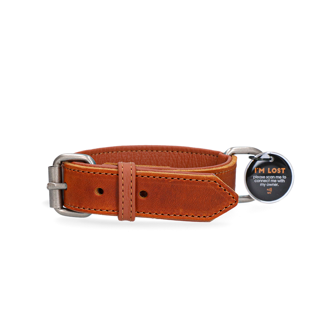 Spotted! Pro Leather Collar Cognac 3 x - dog collar