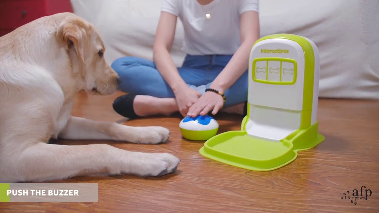 AFP Interactives - Lucky Treat with Rolling Ball product photo