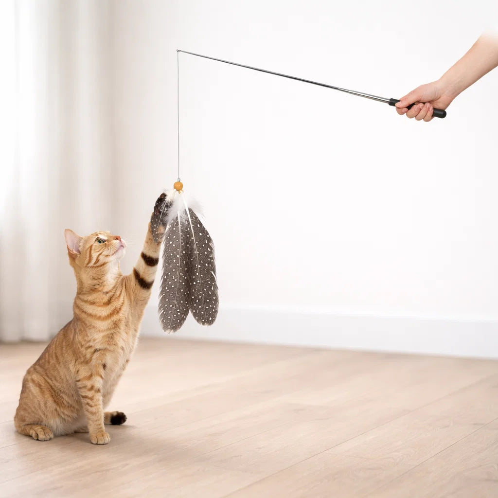 Cat playing with AFP feather teaser wand toy