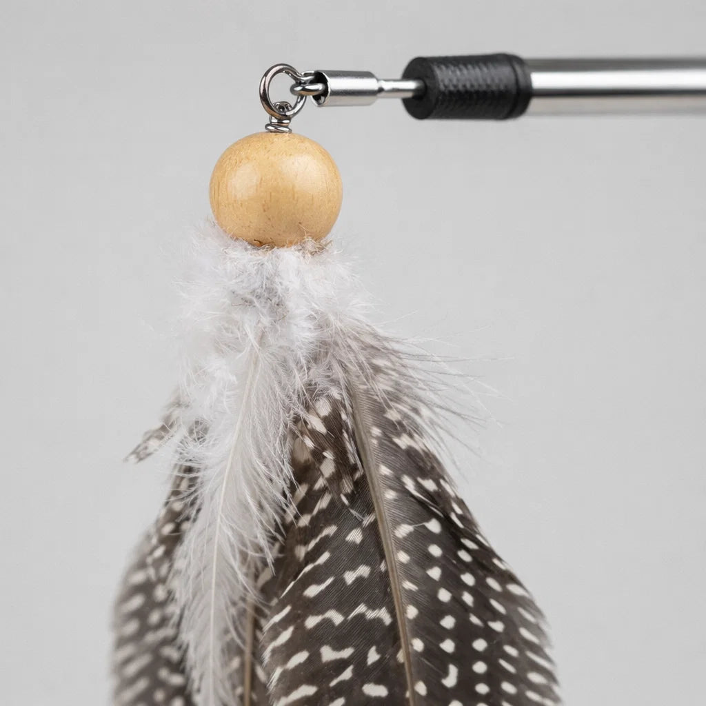 Close up of AFP feather teaser wand showing feather detail