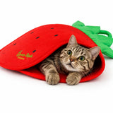 Cat playing inside AFP Green Rush strawberry play mat