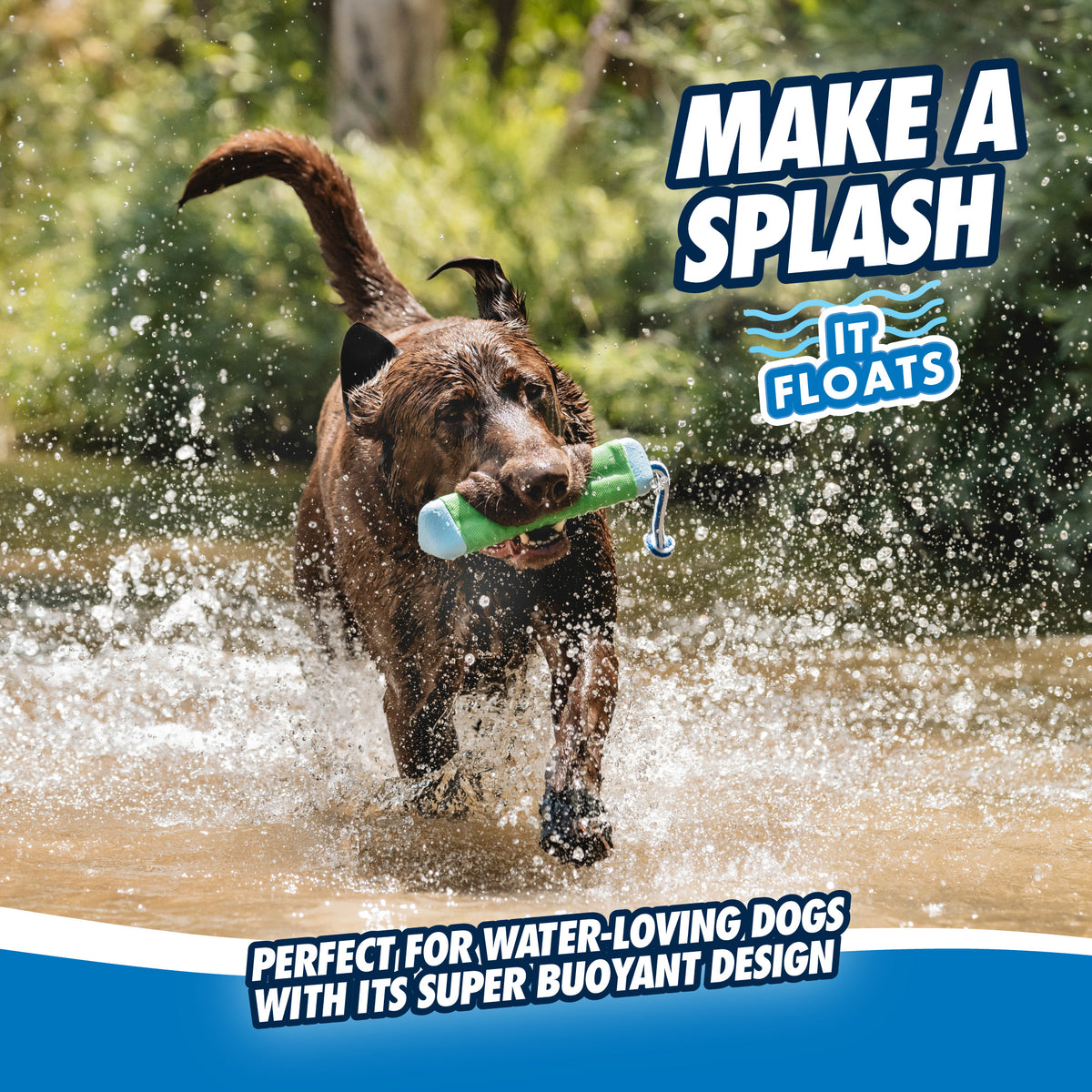 Chuckit! Amphibious Bumper