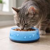 Cat eating from AFP Cat Love Bowl on indoor floor