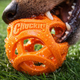Close-up of a dog biting an orange breathable fetch ball with water droplets