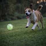 Dog running on grass chasing a glow in the dark breathable fetch ball