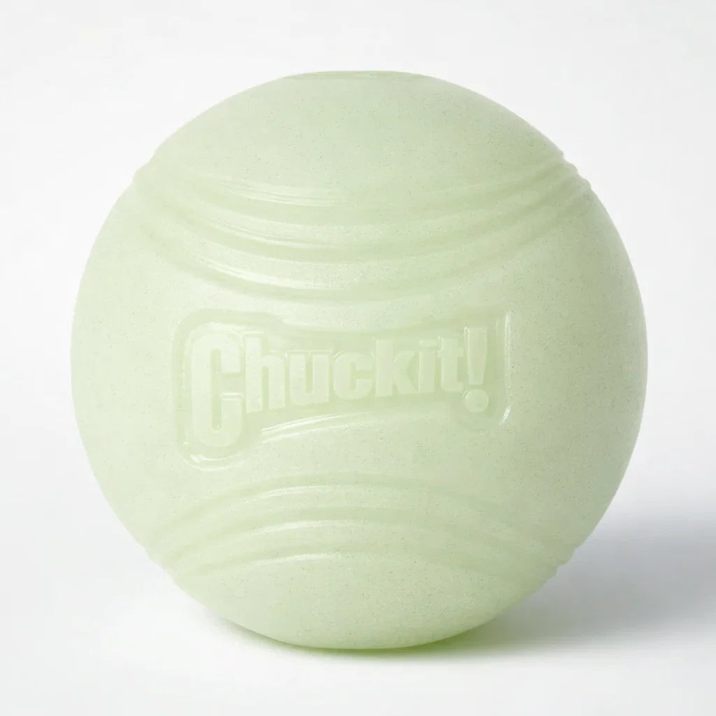 Chuckit Max Glow Ball 6.5 cm glow-in-the-dark rubber fetch ball