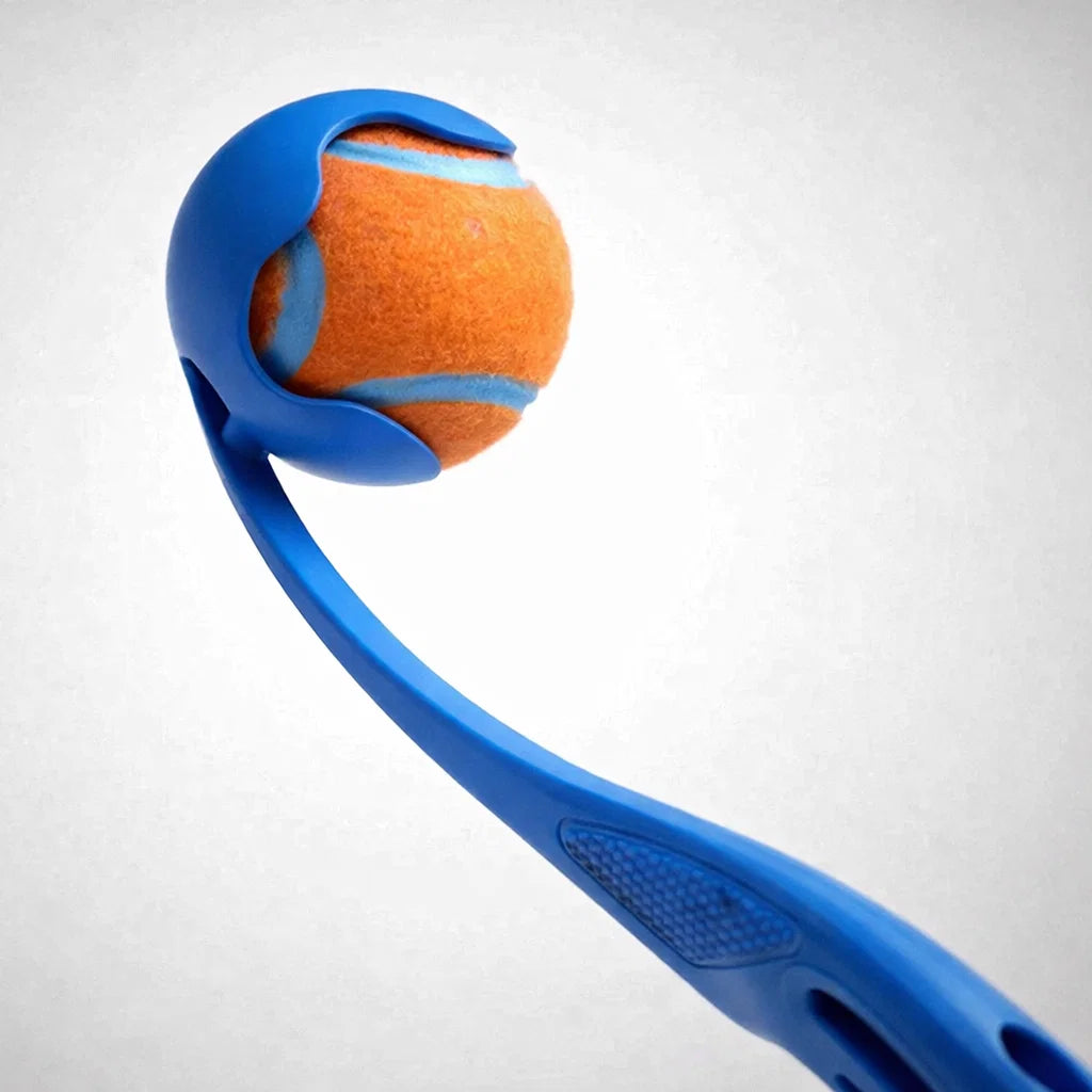 Close-up of a blue ball launcher cup holding an orange tennis ball