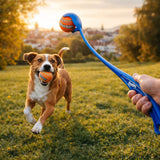 Dog running during fetch while a blue Chuckit ball launcher holds an orange ball