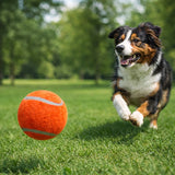 Dog running on grass chasing an orange Chuckit tennis fetch ball