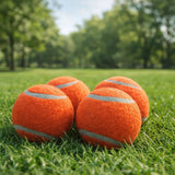 Four orange Chuckit dog tennis balls placed on green grass in a park