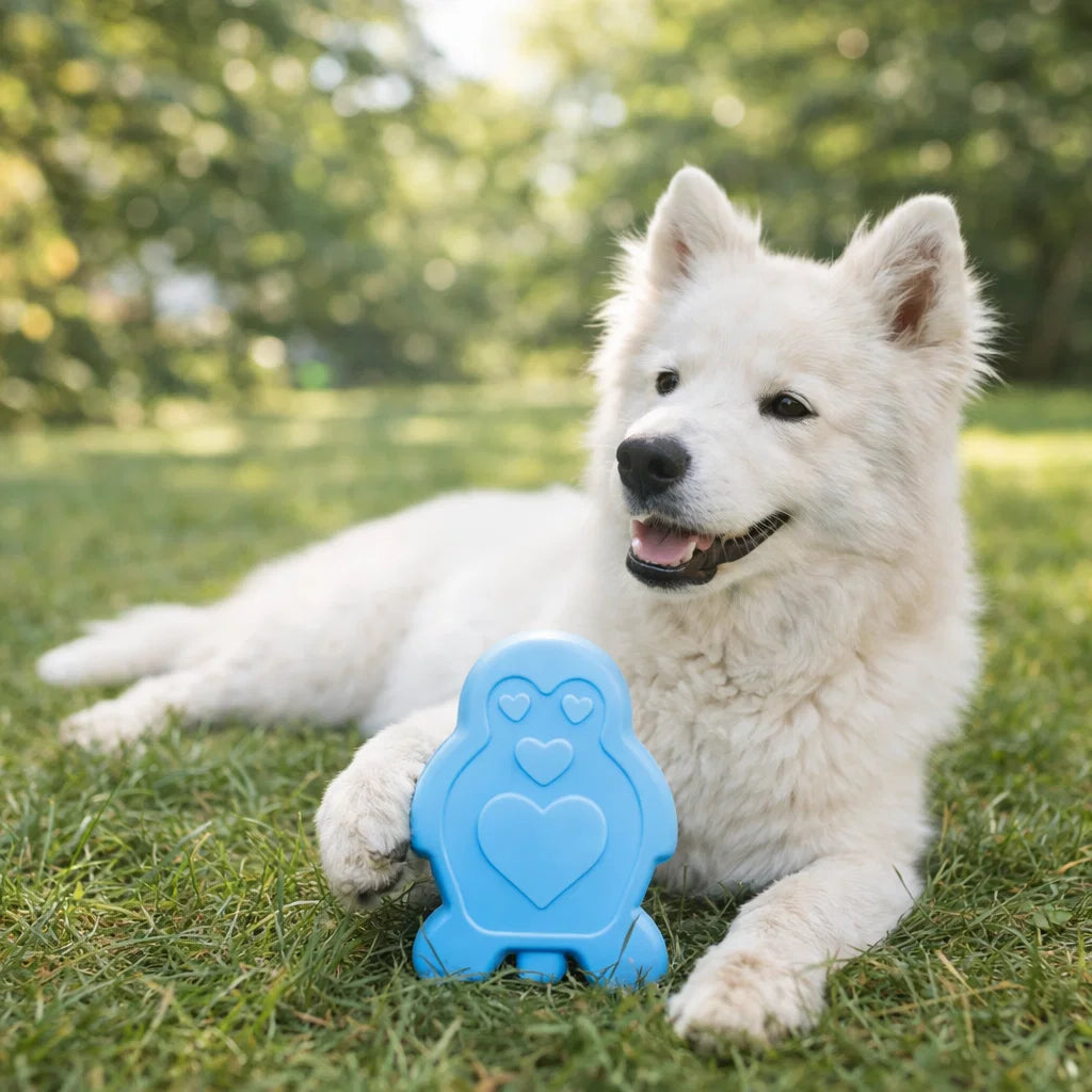 Dog resting next to CoolPets Cooling Ice Penguin on grass
