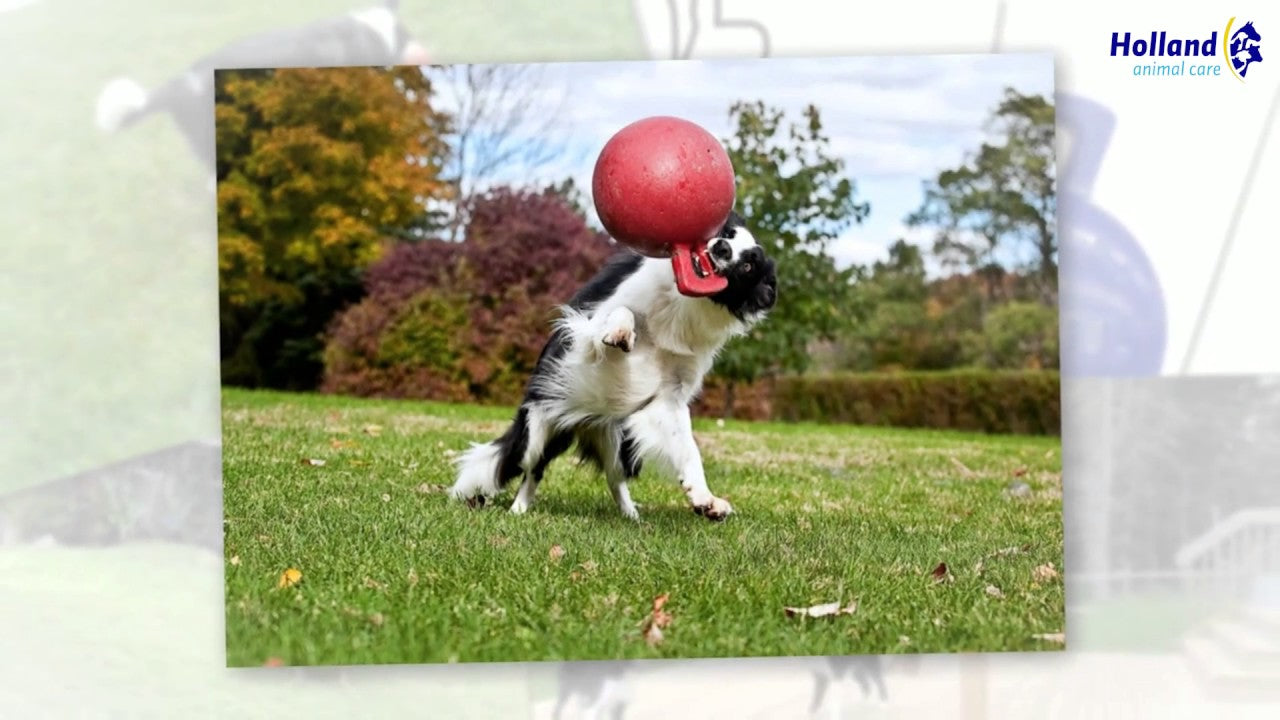 Jolly Tug-n-Toss
