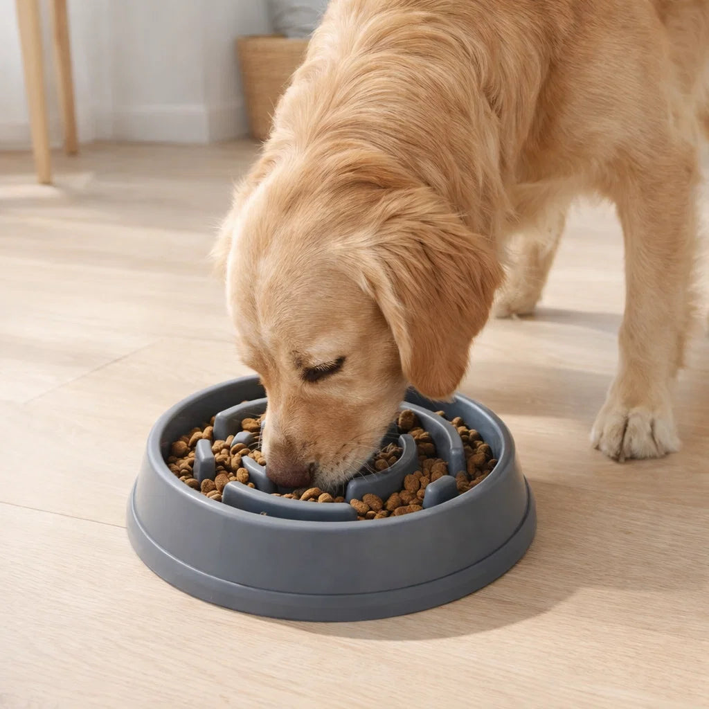 Original Slow Feeder Bowl