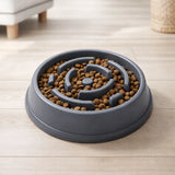 Slow Feeding & Enrichment Bundle