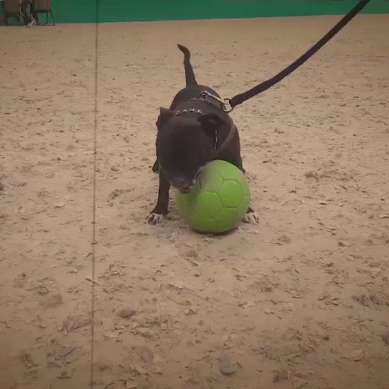 Jolly Mini Soccer Ball Orange S (10 cm) product video