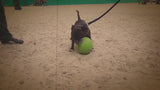 Jolly Mini Soccer Ball Orange S (10 cm) product video