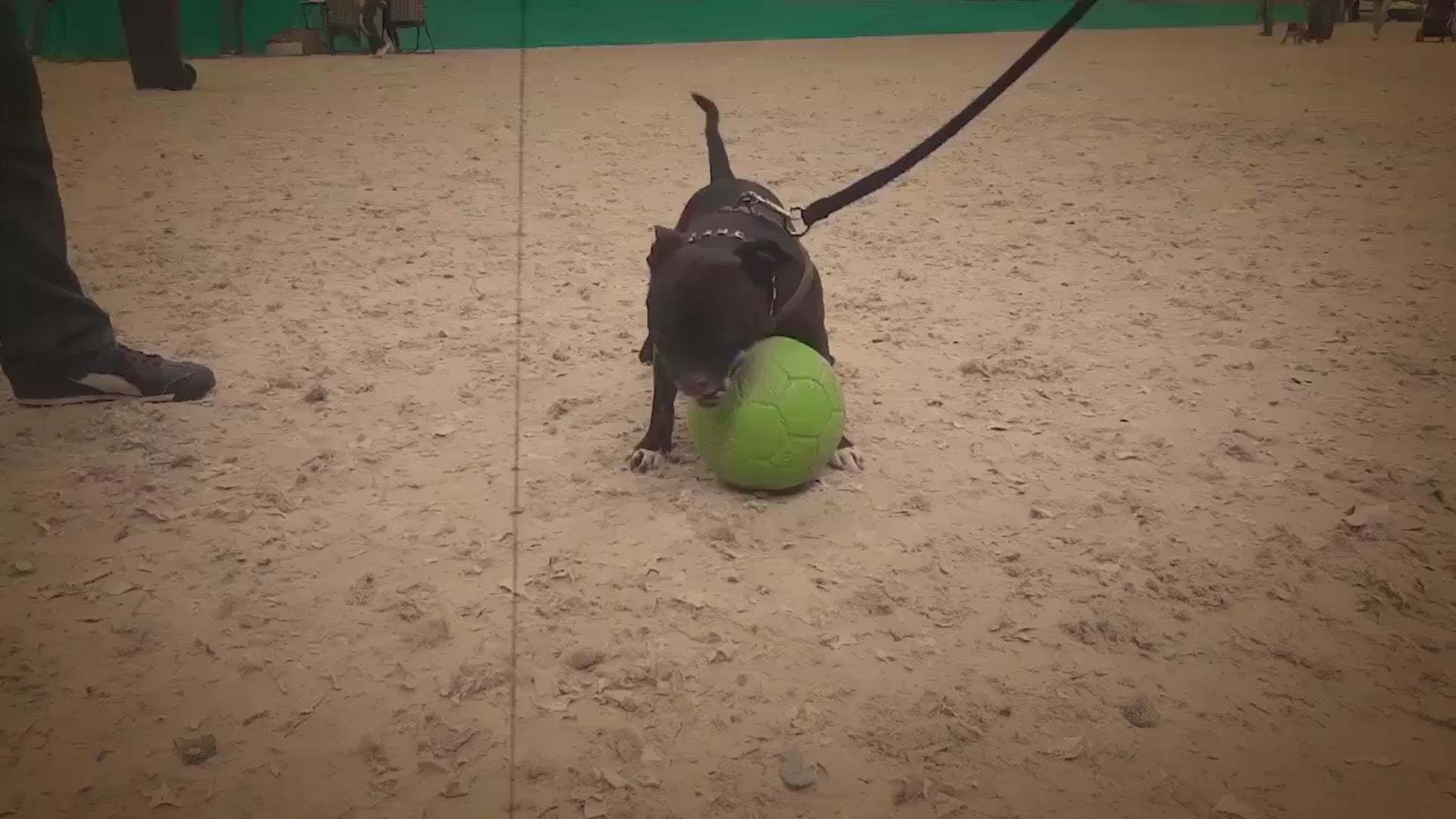 Jolly Mini Soccer Ball Orange S (10 cm) product video
