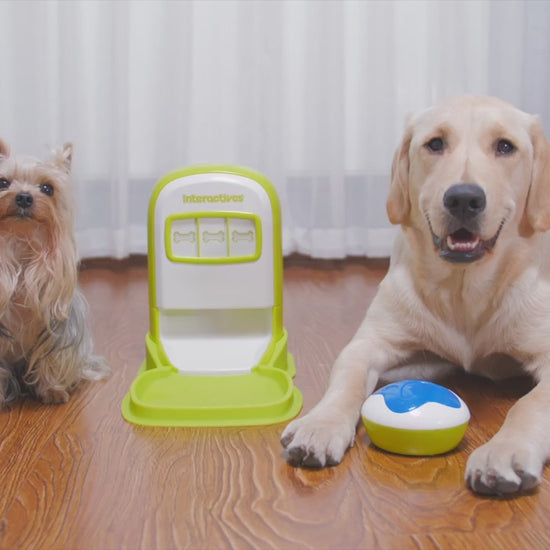 AFP Interactives - Lucky Treat with Rolling Ball product video