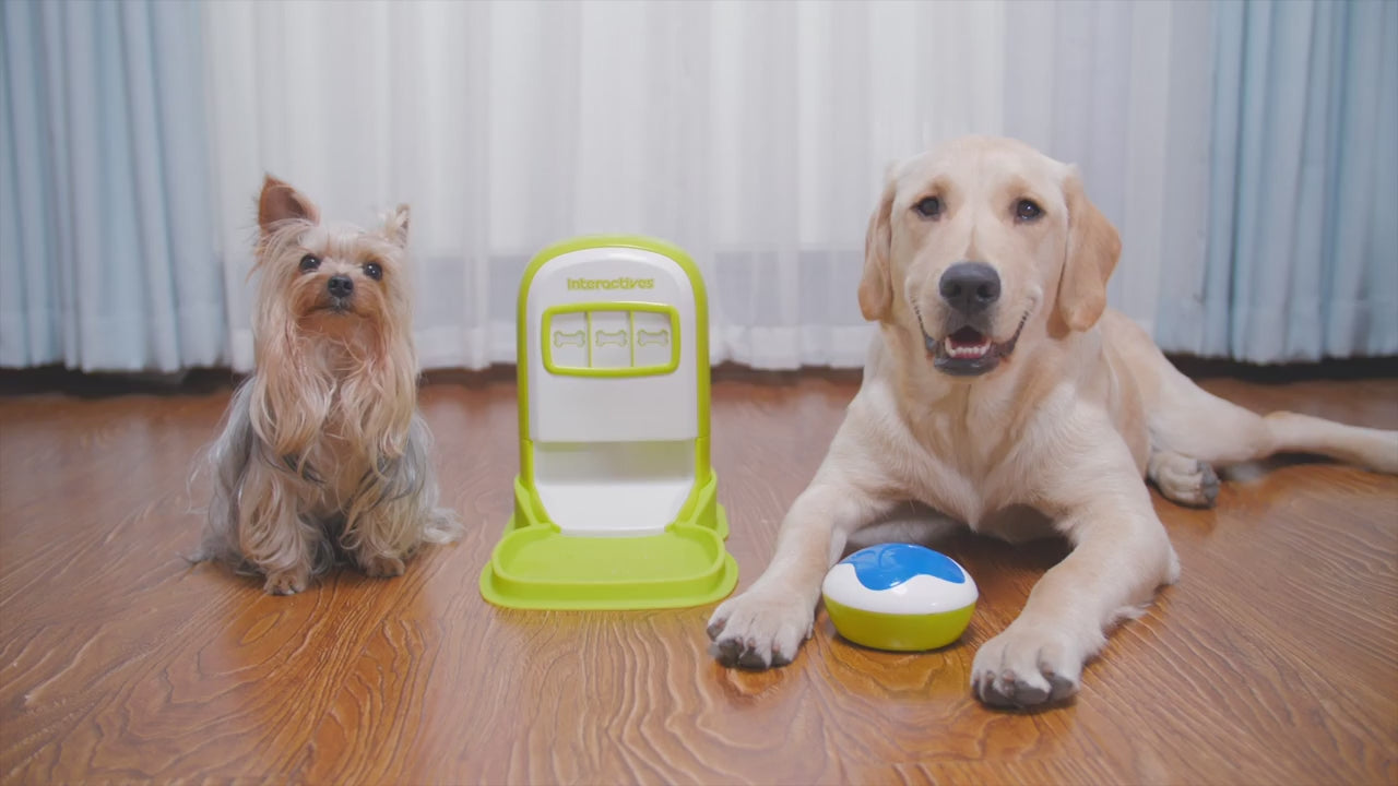 AFP Interactives - Lucky Treat with Rolling Ball product video