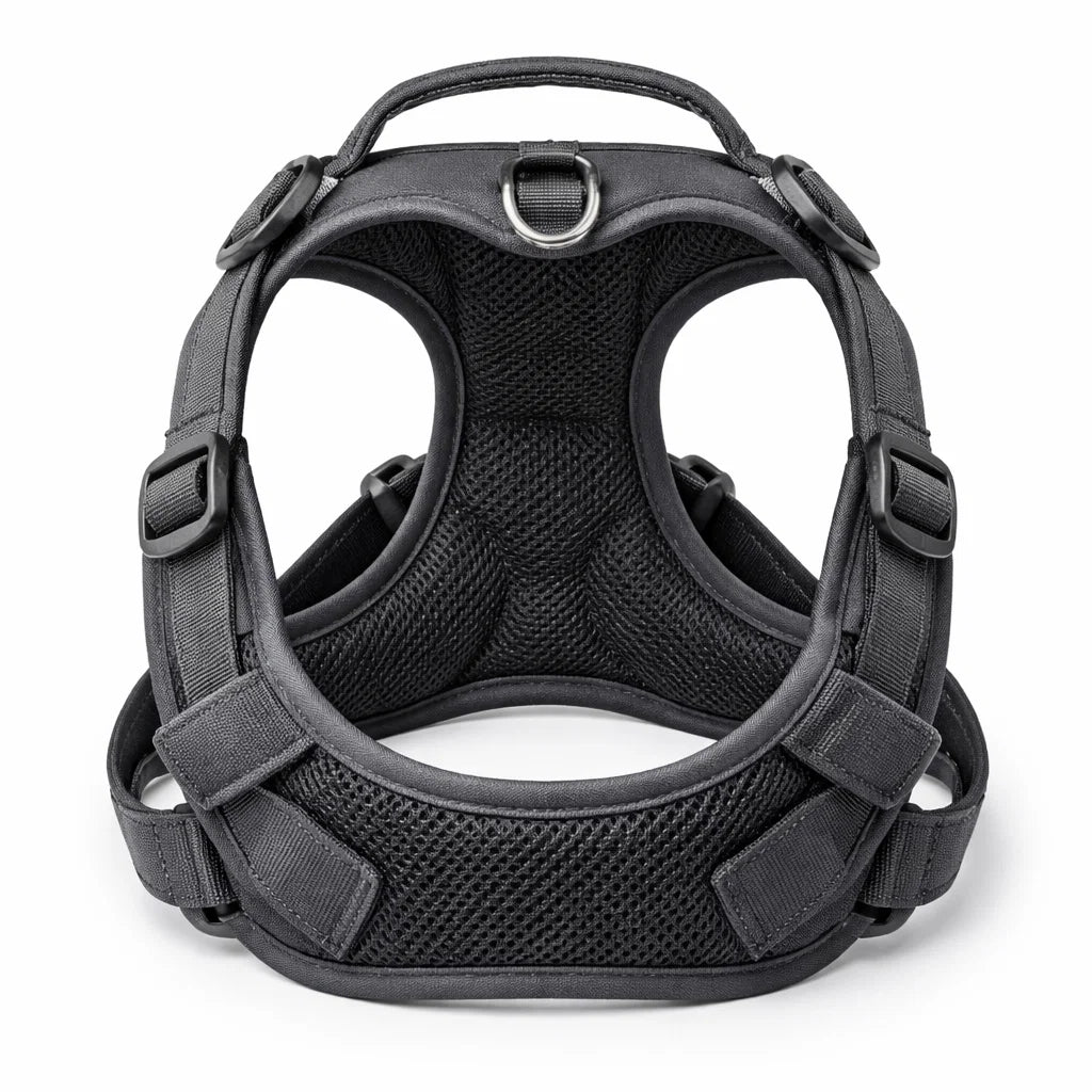 Breathable mesh padding dog harness back view