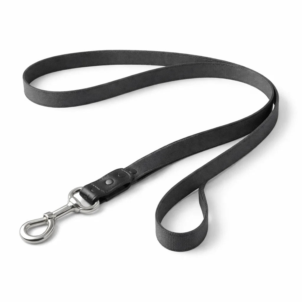 Premium dog leash 120 cm dark grey front view