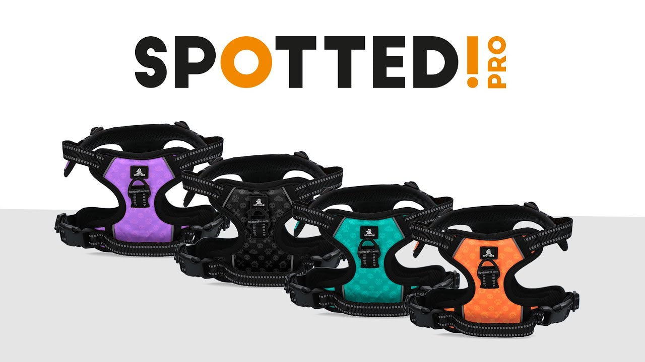 Spotted! Pro No Pull Harnas - dog product
